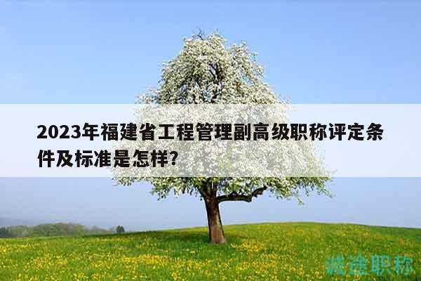 2023年福建省工程管理副高级职称评定条件及标准是怎样？