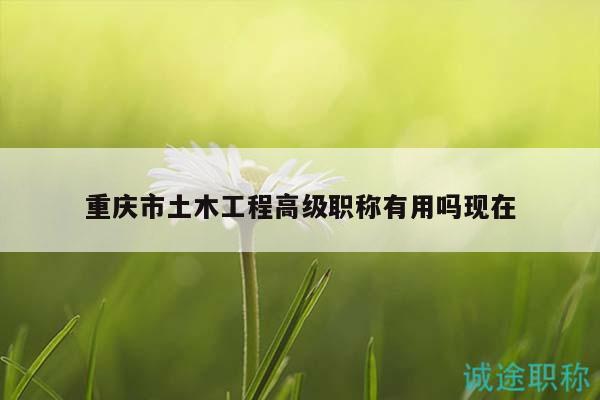 重庆市土木工程高级职称有用吗现在