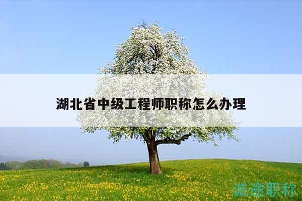 湖北省中级工程师职称怎么办理