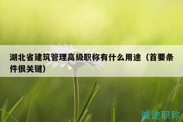 湖北省建筑管理高级职称有什么用途（首要条件很关键）