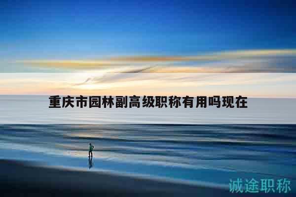 重庆市园林副高级职称有用吗现在