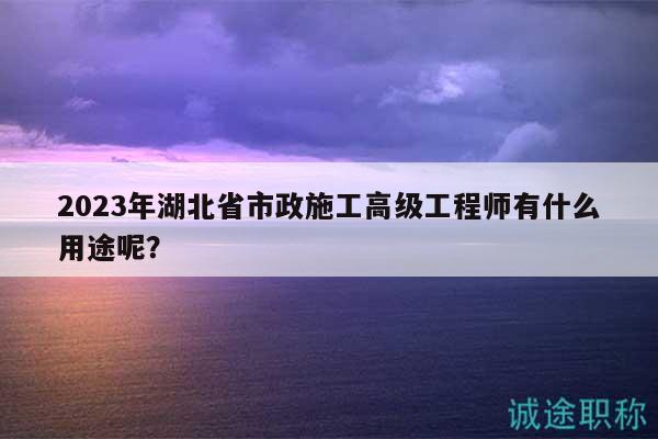 2023年湖北省市政施工高级工程师有什么用途呢？