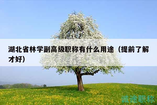 湖北省林学副高级职称有什么用途（提前了解才好）