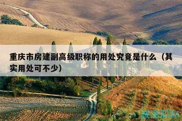 重庆市房建副高级职称的用处究竟是什么（其实用处可不少）