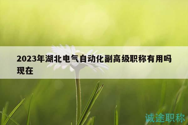 2023年湖北电气自动化副高级职称有用吗现在