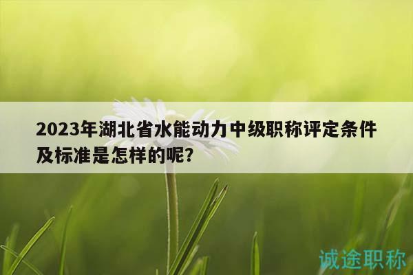2023年湖北省水能动力中级职称评定条件及标准是怎样的呢？