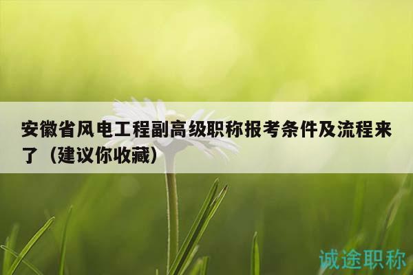 安徽省风电工程副高级职称报考条件及流程来了（建议你收藏）