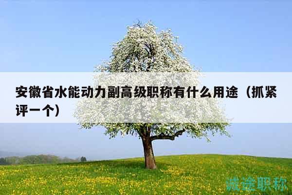 安徽省水能动力副高级职称有什么用途（抓紧评一个）