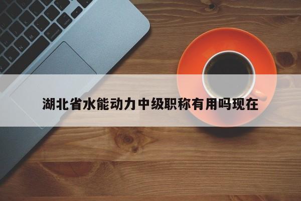 湖北省水能动力中级职称有用吗现在