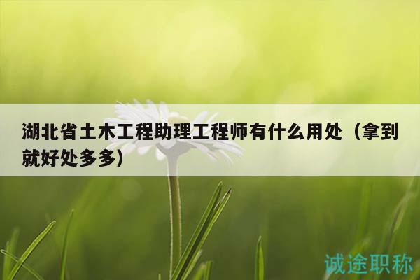湖北省土木工程助理工程师有什么用处（拿到就好处多多）