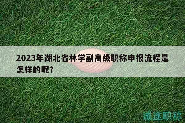 2023年湖北省林学副高级职称申报流程是怎样的呢？