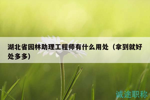 湖北省园林助理工程师有什么用处（拿到就好处多多）