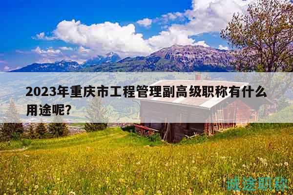 2023年重庆市工程管理副高级职称有什么用途呢？
