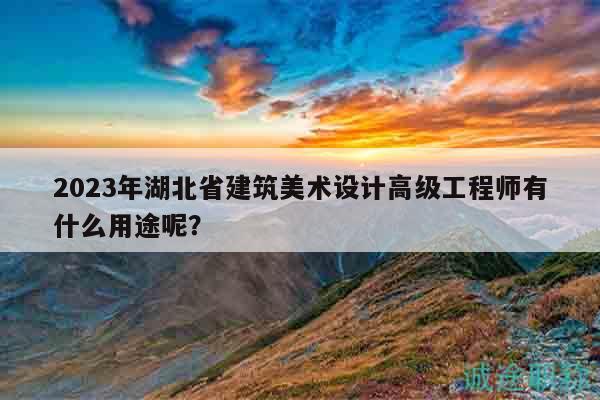 2023年湖北省建筑美术设计高级工程师有什么用途呢？