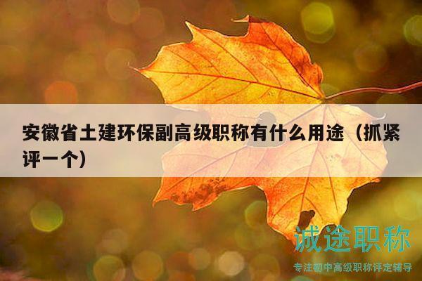 安徽省土建环保副高级职称有什么用途（抓紧评一个）
