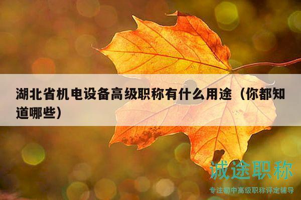 湖北省机电设备高级职称有什么用途（你都知道哪些）