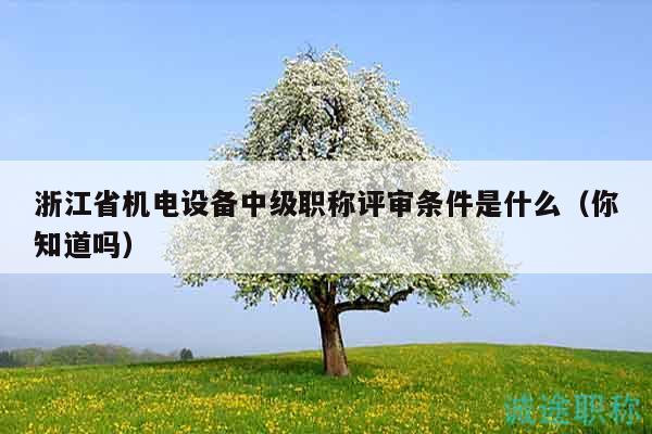 浙江省机电设备中级职称评审条件是什么（你知道吗）