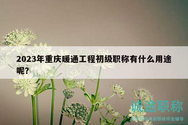2023年重庆暖通工程初级职称有什么用途呢？