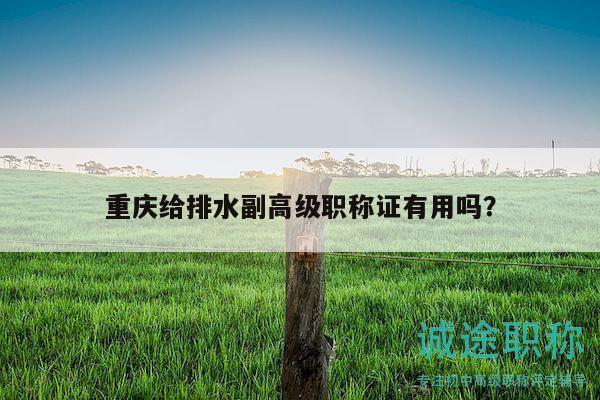 重庆给排水副高级职称证有用吗？