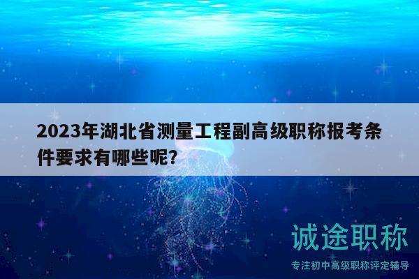 2023年湖北省测量工程副高级职称报考条件要求有哪些呢？