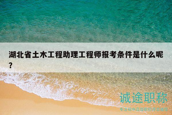 湖北省土木工程助理工程师报考条件是什么呢？