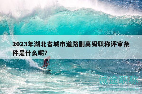 2023年湖北省城市道路副高级职称评审条件是什么呢？