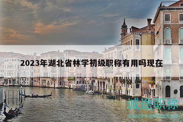 2023年湖北省林学初级职称有用吗现在