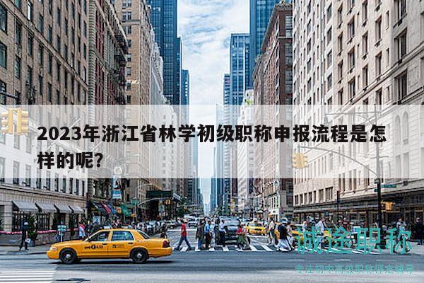 2023年浙江省林学初级职称申报流程是怎样的呢？