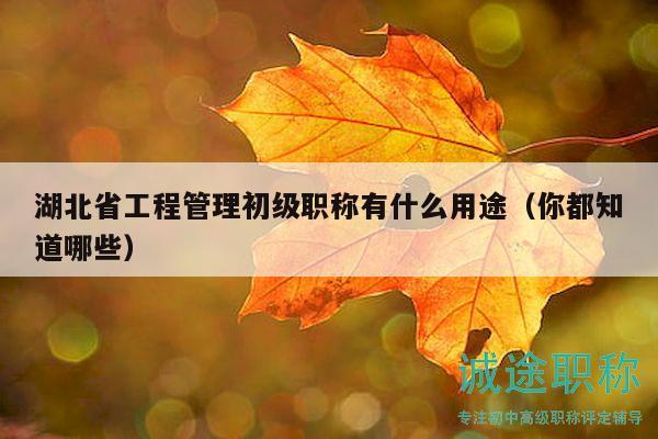 湖北省工程管理初级职称有什么用途（你都知道哪些）