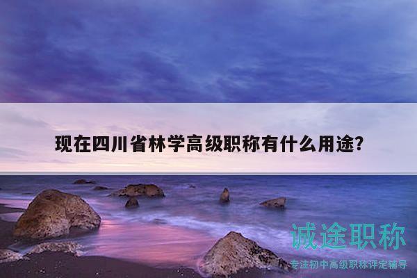 现在四川省林学高级职称有什么用途？