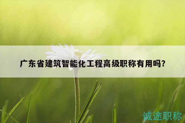 广东省建筑智能化工程高级职称有用吗？