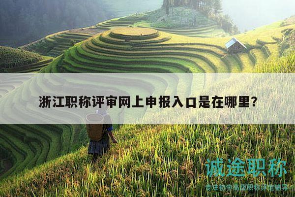 浙江职称评审网上申报入口是在哪里？