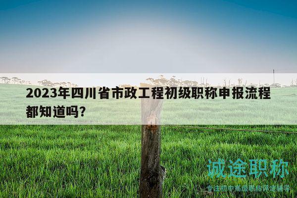 2023年四川省市政工程初级职称申报流程都知道吗？