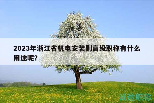 2023年浙江省机电安装副高级职称有什么用途呢？