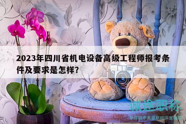 2023年四川省机电设备高级工程师报考条件及要求是怎样？