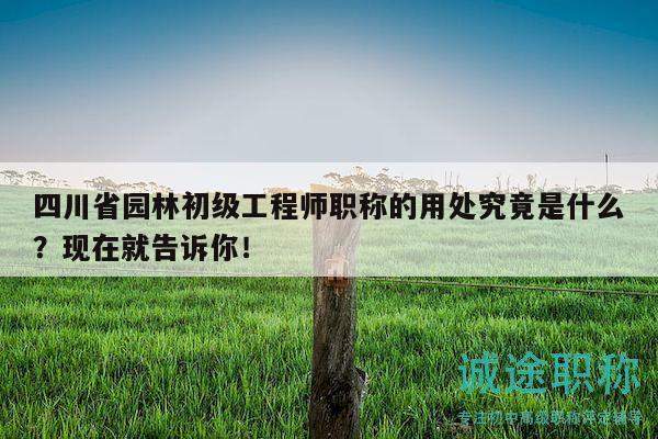 四川省园林初级工程师职称的用处究竟是什么？现在就告诉你！