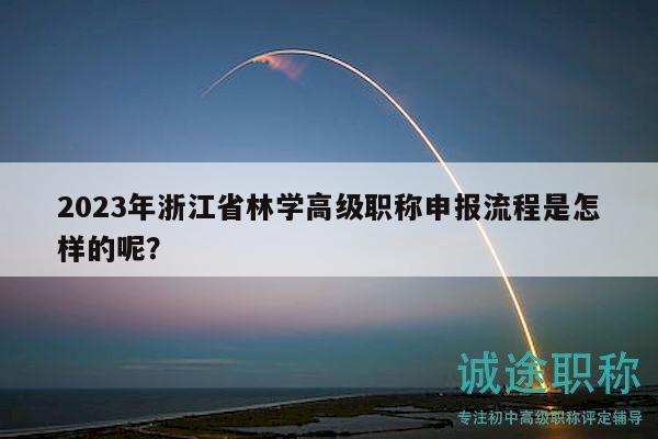 2023年浙江省林学高级职称申报流程是怎样的呢？