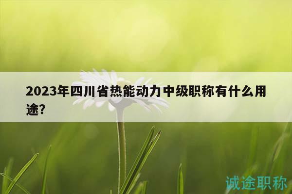 2023年四川省热能动力中级职称有什么用途？