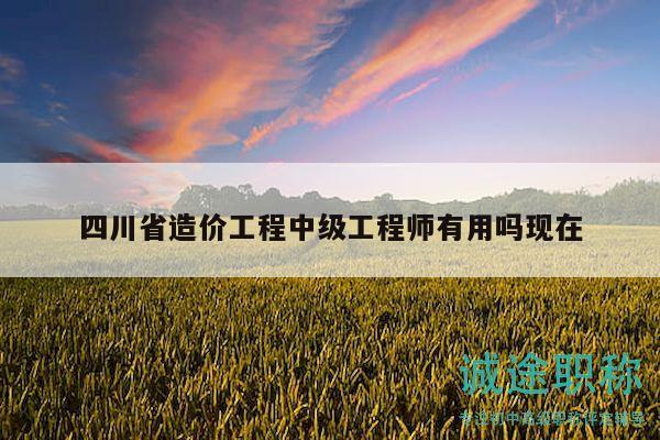 四川省造价工程中级工程师有用吗现在