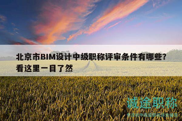 北京市BIM设计中级职称评审条件有哪些？看这里一目了然