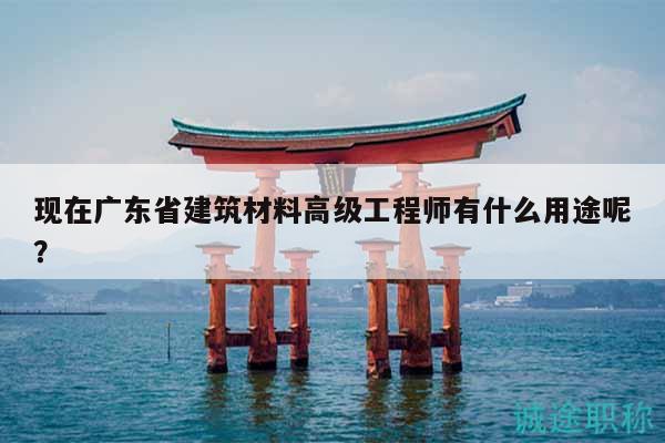 现在广东省建筑材料高级工程师有什么用途呢？