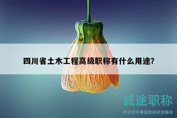 四川省土木工程高级职称有什么用途？