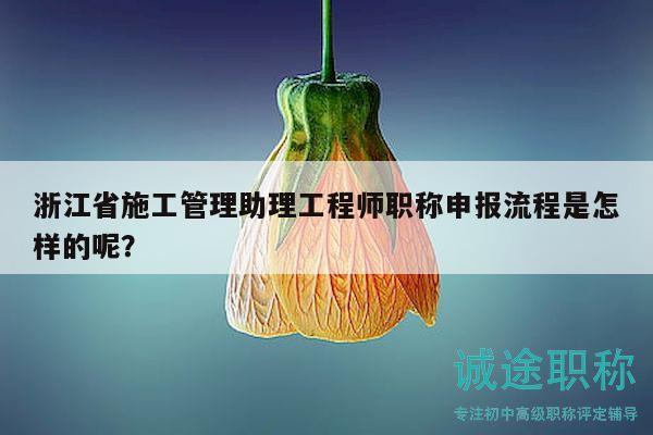 浙江省施工管理助理工程师职称申报流程是怎样的呢？