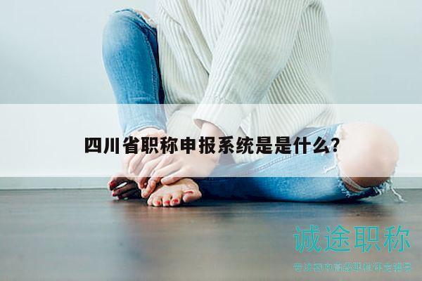 四川省职称申报系统是是什么？