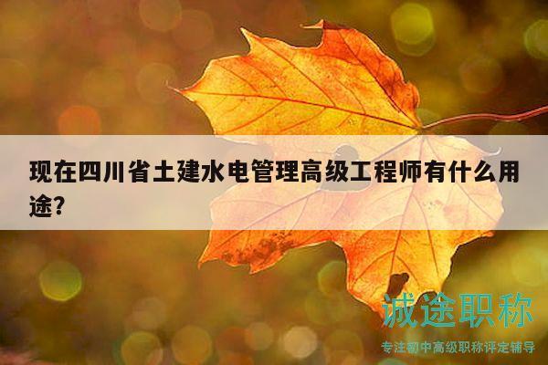 现在四川省土建水电管理高级工程师有什么用途？
