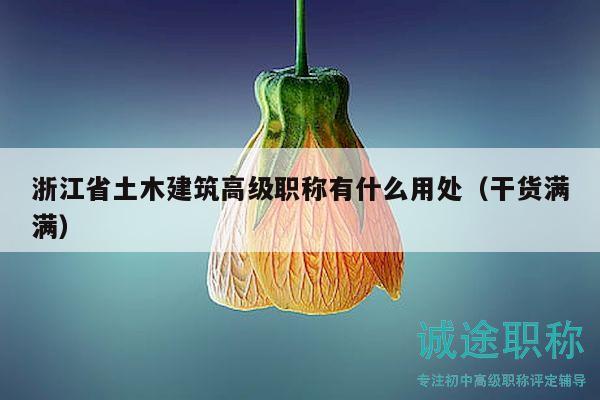 浙江省土木建筑高级职称有什么用处（干货满满）