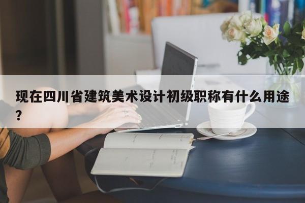 现在四川省建筑美术设计初级职称有什么用途？