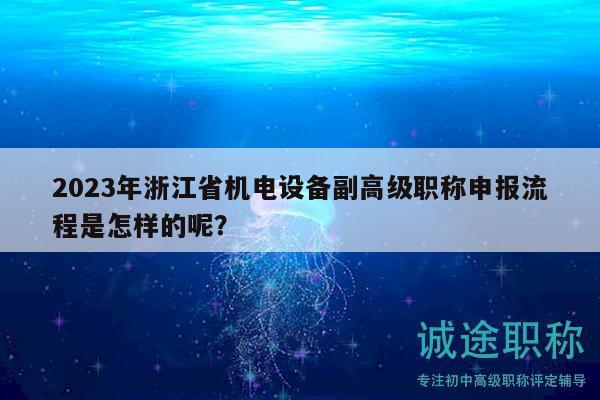 2023年浙江省机电设备副高级职称申报流程是怎样的呢？
