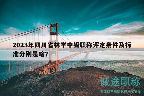 2023年四川省林学中级职称评定条件及标准分别是啥？