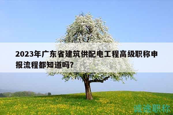2023年广东省建筑供配电工程高级职称申报流程都知道吗？